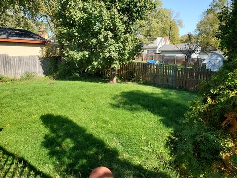 555 Wilcox Ave, Elgin, IL 60123 photo 20