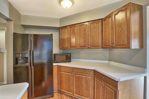463 Simone Dr, Des Plaines, IL 60016 photo 9
