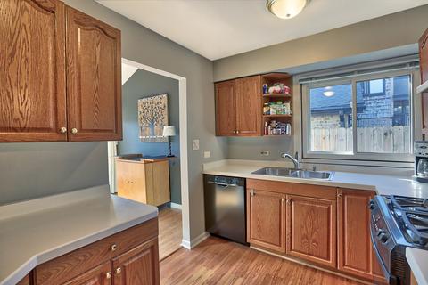 463 Simone Dr, Des Plaines, IL 60016 photo 10