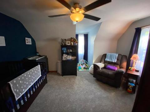 424 E North St, Peotone, IL 60468 photo 21