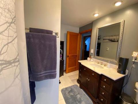 424 E North St, Peotone, IL 60468 photo 18