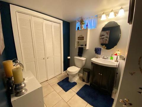 424 E North St, Peotone, IL 60468 photo 29