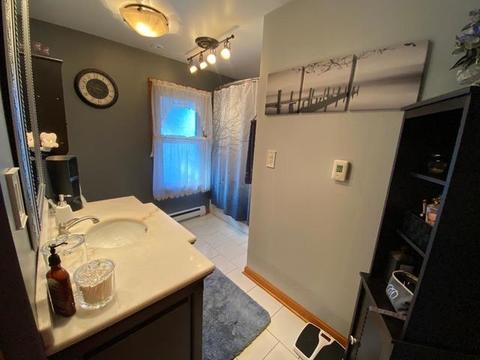 424 E North St, Peotone, IL 60468 photo 19