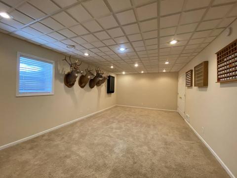 12440 Garys Way, Genoa, IL 60135 photo 20