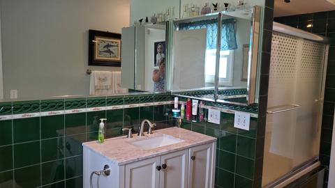 920 S Maple St, Mount Prospect, IL 60056 photo 22