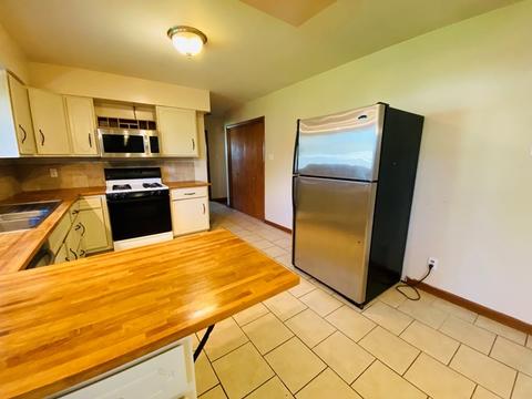 408 E Philmar St, Dwight, IL 60420 photo 8