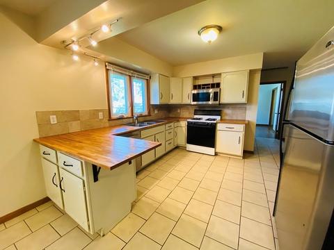 408 E Philmar St, Dwight, IL 60420 photo 5
