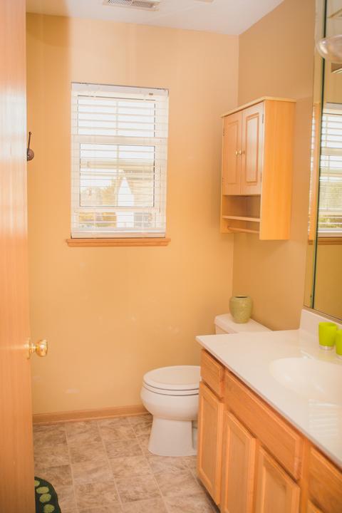 25830 S Daffodil Ln, Monee, IL 60449 photo 9