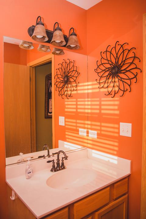 25830 S Daffodil Ln, Monee, IL 60449 photo 13