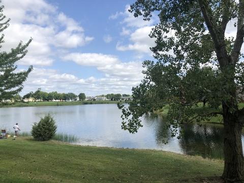 21013 W Braxton Ln, Plainfield, IL 60544 photo 5