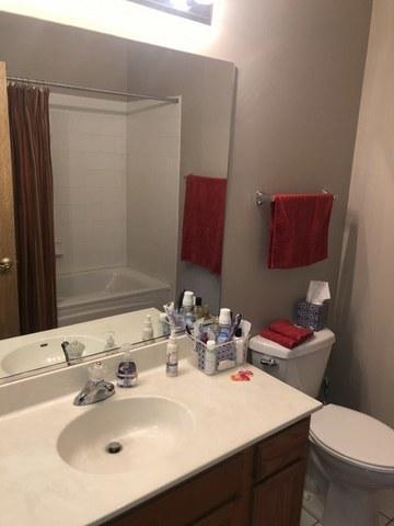 21013 W Braxton Ln, Plainfield, IL 60544 photo 19