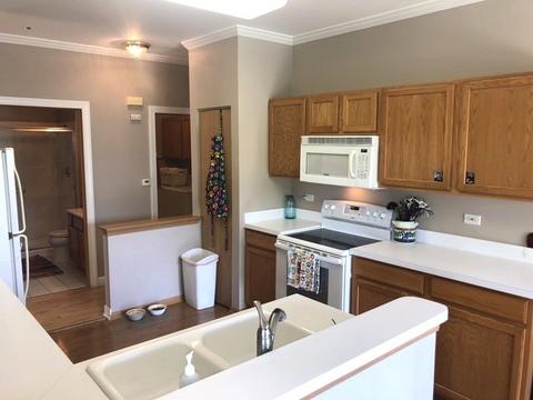 21013 W Braxton Ln, Plainfield, IL 60544 photo 14