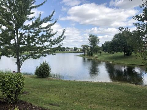 21013 W Braxton Ln, Plainfield, IL 60544 photo 3