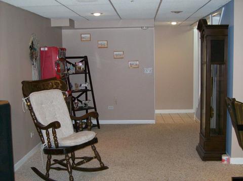961 S Chippendale Dr, Bartlett, IL 60103 photo 20