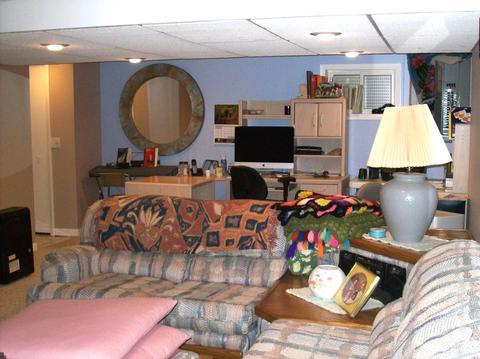 961 S Chippendale Dr, Bartlett, IL 60103 photo 22