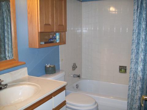 961 S Chippendale Dr, Bartlett, IL 60103 photo 13