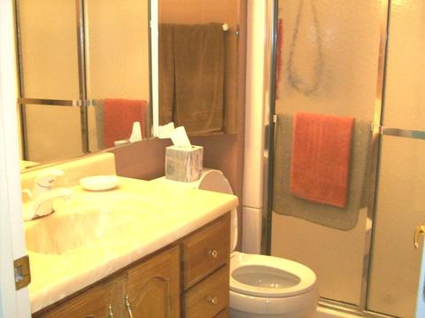 961 S Chippendale Dr, Bartlett, IL 60103 photo 17