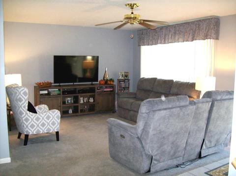 961 S Chippendale Dr, Bartlett, IL 60103 photo 4