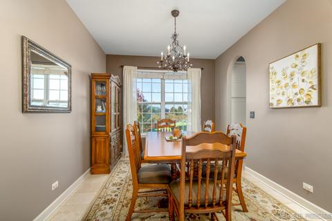11654 S Decathalon Ln, Plainfield, IL 60585 photo 7