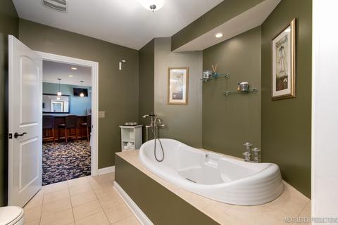 11654 S Decathalon Ln, Plainfield, IL 60585 photo 26