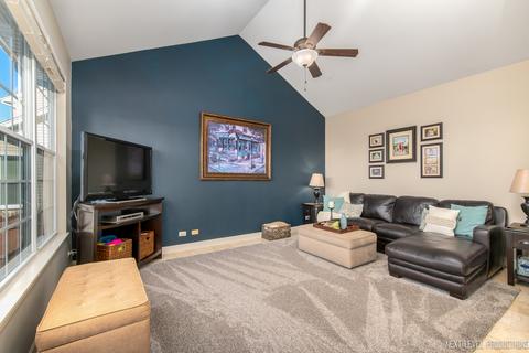 11654 S Decathalon Ln, Plainfield, IL 60585 photo 12
