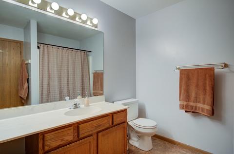 23049 Judith Dr, Plainfield, IL 60586 photo 17