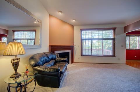 23049 Judith Dr, Plainfield, IL 60586 photo 5
