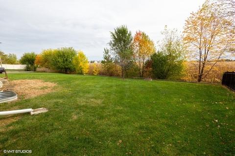 15039 Meadow Ln, Plainfield, IL 60544 photo 17