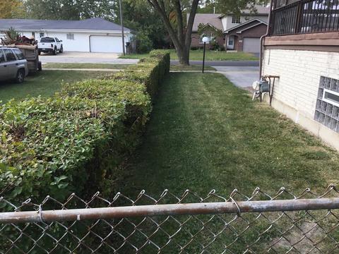 16247 Marshfield Ave, Markham, IL 60428 photo 30