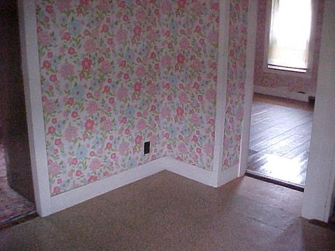 230 N Wooster St, Capron, IL 61012 photo 17