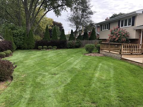 512 E Juniper Dr, Palatine, IL 60074 photo 15