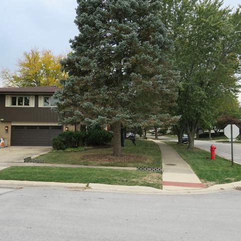 15441 Maple Ct, Oak Forest, IL 60452 photo 23