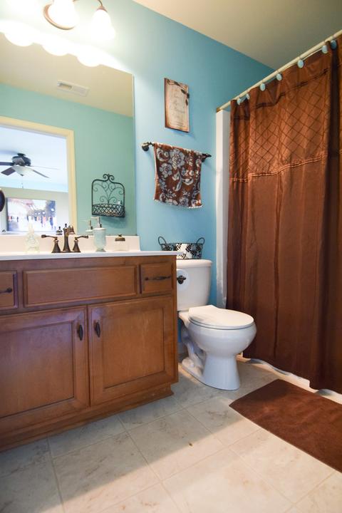 16413 Hidden River Cir, Plainfield, IL 60586 photo 22