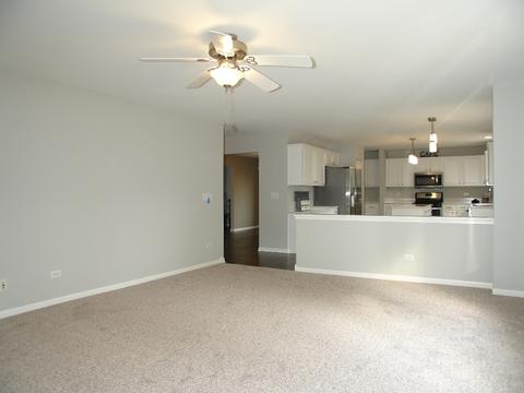 264 Berkeley Dr, Bolingbrook, IL 60440 photo 24