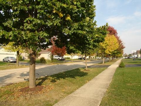 264 Berkeley Dr, Bolingbrook, IL 60440 photo 54