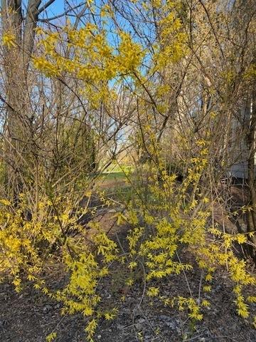 1020 E Willow Ave, Wheaton, IL 60187 photo 25