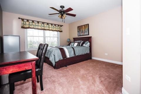 17233 S Honora Dr, Plainfield, IL 60586 photo 18