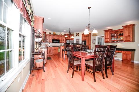 17233 S Honora Dr, Plainfield, IL 60586 photo 8