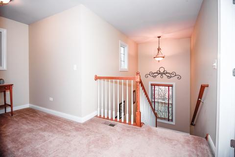 17233 S Honora Dr, Plainfield, IL 60586 photo 12