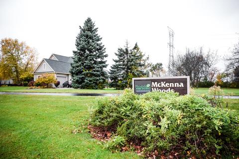 17233 S Honora Dr, Plainfield, IL 60586 photo 33