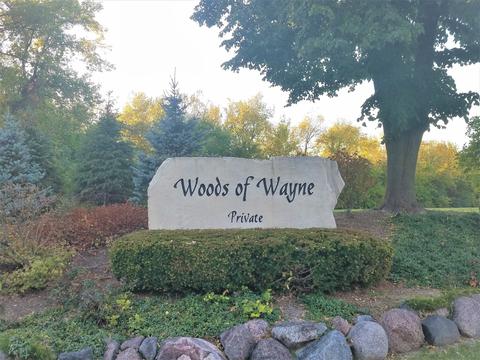 4 N471 Mountain Ash Dr, Wayne, IL 60184 photo 40