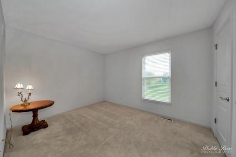 4 Charminster Ct, Algonquin, IL 60102 photo 20