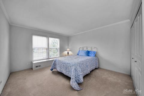 4 Charminster Ct, Algonquin, IL 60102 photo 19
