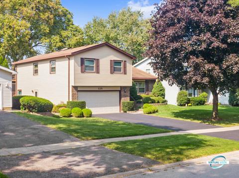 126 S Elroy Ave, Bartlett, IL 60103 photo 36