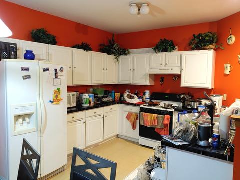 6410 Baring Ridge Dr, Plainfield, IL 60586 photo 8