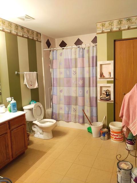 6410 Baring Ridge Dr, Plainfield, IL 60586 photo 12