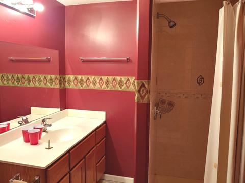 6410 Baring Ridge Dr, Plainfield, IL 60586 photo 23