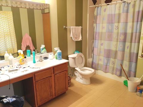 6410 Baring Ridge Dr, Plainfield, IL 60586 photo 13