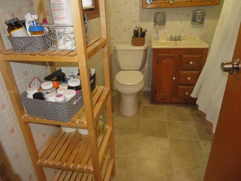 17845 Rose St, Lansing, IL 60438 photo 9