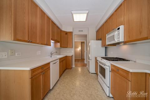 1277 E Thacker St #402, Des Plaines, IL 60016 photo 9